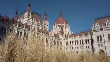 Edificio-Del-Parlamento-Húngaro-Con-Flora-Muerta-En-Primer-Plano