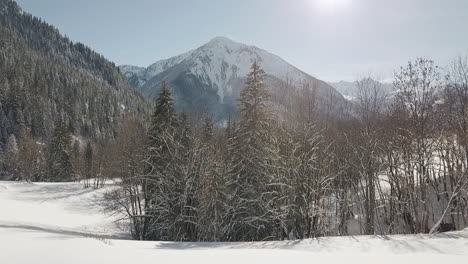 Zeitlupen-Drohnenaufnahme,-Die-über-Immergrüne-Alpenbäume-Und-über-Ein-Wunderschönes-Tal-Mit-Sonne-Und-Schneebedeckten-Bergen-Im-Hintergrund-Fliegt