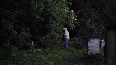A-man-mows-the-grass-in-an-apiary-in-the-countryside
