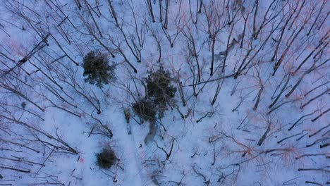 Tracking-a-green-snowmobile-through-a-winter-forest-AERIAL-TOP-DOWN