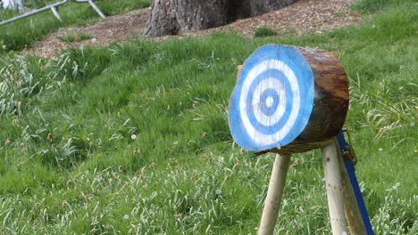 Slow-motion-footage-of-a-traditional-axe-being-thrown-at-a-circular-wooden-target