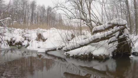 Pan-shot-of-frozen-pond-in-the-forest