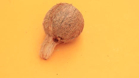 Whole-coconut-isolated-on-yellow--background