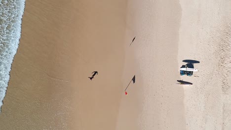 Vista-Aérea-De-Una-Playa-Australiana-Con-Equipo-Salvavidas-Cerca-De-Gente-Caminando