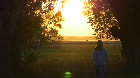 Girl-walking-towards-sunset-between-two-old-trees-in-late-summer-in-slow-motion
