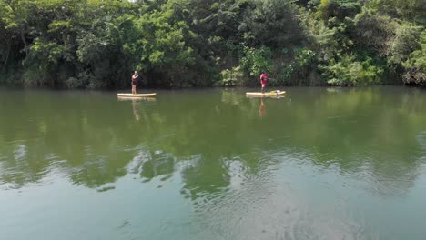 Aerial-shot-tracking-backwards-of-a-blonde-woman-on-a-stand-up-paddle-board-on-the-bank-of-the-river-nile