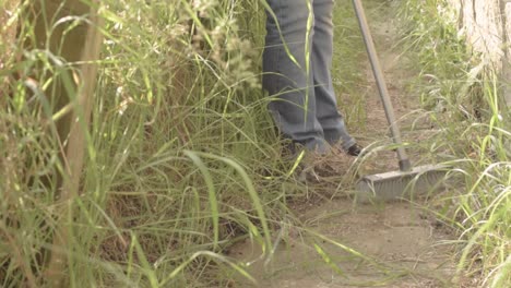 Homeowner-sweeping-overgrown-pathway-with-broom