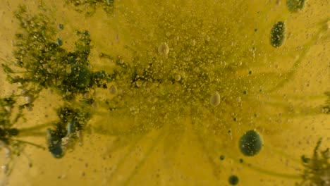 science-experiment-liquid-botany-with-darker-elements-introduced-in-bubble-and-debris-depth-60fps