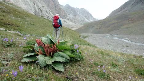 Senderismo-En-Las-Hermosas-Montañas-Alay-En-La-Región-De-Osh-De-Kirguistán