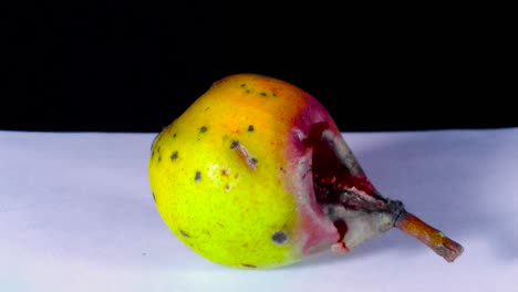 Time-lapse-of-a-rotting-pear