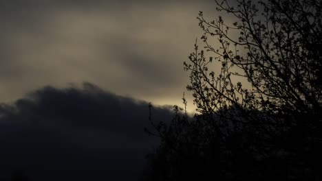 Beautiful-timelapse-of-sunset-with-clouds-and-tree-branches