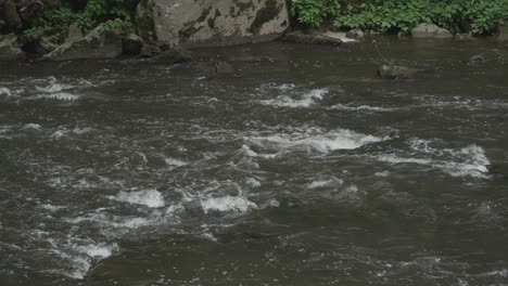 The-Wissahickon-Creek,-flowing-over-rocks-and-stones