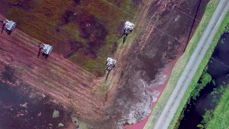 Top-down-aerial-shot-pull-up-to-reveal-cranberry-field-workers-moving-through-the-bog-on-harvesting-machines