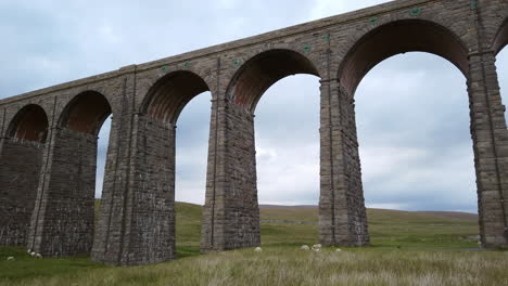 Right-to-Left-Pan-of-Sheep-Grazing-in-front-of-Ribblehead-Viaduct-in-the-Yorkshire-Dales-National-Park