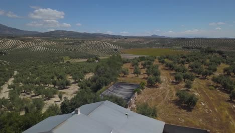 Aerial-view-of-an-olive-warehouse-in-the-south-of-Spain