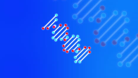 Grafische-Illustration-Des-Geschichteten-Genetischen-DNA-Sequenzstrangs,-Die-Sich-Auf-Blauem-Hintergrund-Mit-Verblasster-Vergrößerung-Dreht