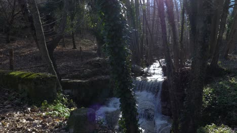 Naturszene-Im-Wald-Mit-Einem-Natürlichen-Süßwasserbach-Und-Einem-Wasserfall