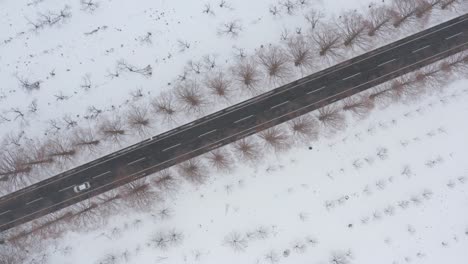 Car-drives-diagonally-down-tree-line-snowy-road-in-Japan,-Shiga-Prefecture