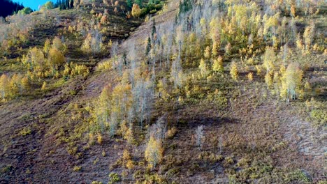 Rocky-Mountains-Von-Colorado,-Wenn-Die-Herbstblätter-Golden-Werden