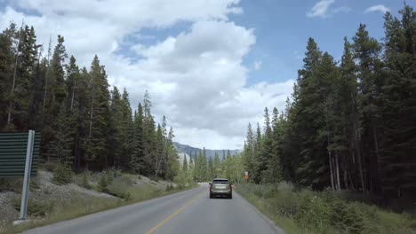 view-from-inside-the-moving-car-with-view-of-the-local-road-pass-through-among-the-pine-tree-forest-with-clear-blue-sky-and-rockies-mountain-range-in-Banff
