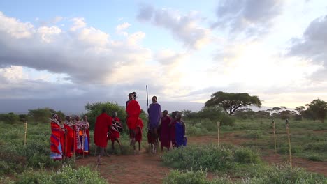 Massai-Krieger-Führen-Nachmittags-Kulturelle-Tänze-Für-Safari-Gäste-Auf