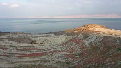Luftflug-über-Frau-Und-Kind,-Die-In-Der-Blühenden-Wüste-Stehen,-Rote,-Weiße,-Grüne-Blumen,-Hintergrund-Des-Toten-Meeres
