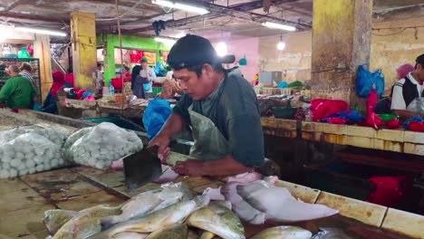 Male-fishmonger-cut-some-fish-meat