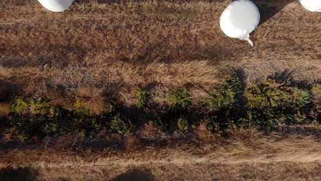 Green-vegetation-and-harvested-hay-bales-on-a-warm-summers-day,-top-down-drone