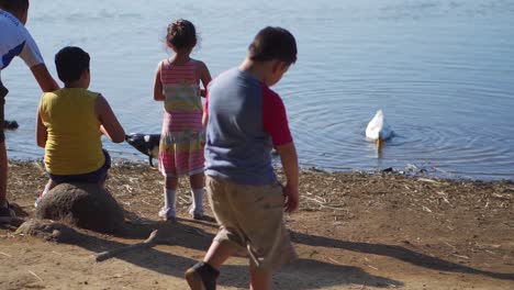 Children-Feeding-Ducks-in-Lake