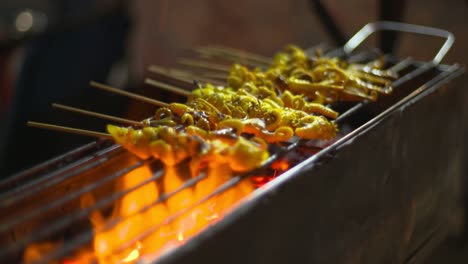 A-Man-Grilling-Fresh-Squid-In-A-Skewer-And-Reversing-It-On-A-Burning-Fire---Close-Up-Shot
