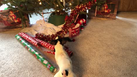 Little-dog-chewing-on-Christmas-tree-decorations