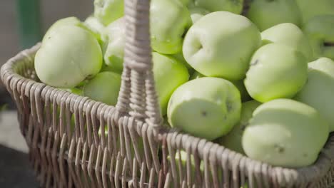 A-basket-of-green-apples
