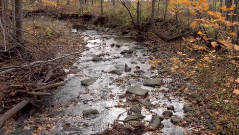 Wind-Blowing-Autumn-Leaves-In-November-Over-Flowing-Creek