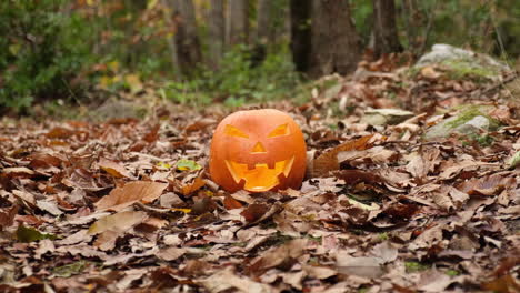 Halloween-October-spooky-pumpkin-face-glowing-in-the-autumn-foliage-forest