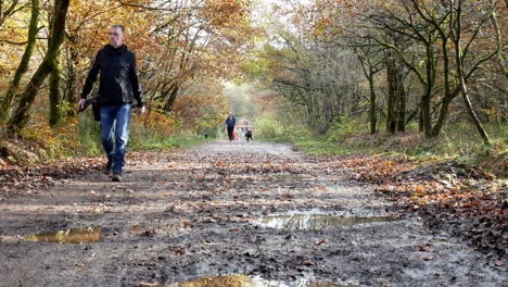 Casual-man-walking-long-muddy-dirt-road-in-Autumn-forest-woodland-countryside