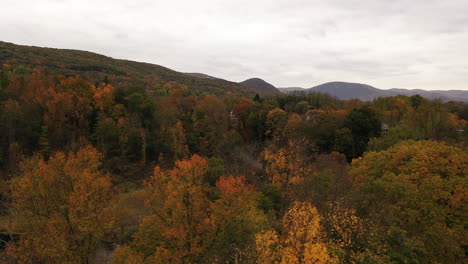 Eine-Luftaufnahme-Des-Farbenfrohen-Herbstlaubs-An-Einem-Bewölkten-Tag-Im-Bundesstaat-New-York
