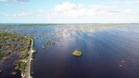 Yucatan-Mangrovenschutzgebiet.-Flamingo-Wanderzone