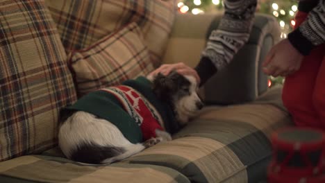 Mujer-Y-Perro-En-Navidad