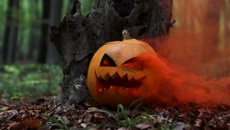 Nahaufnahme-Eines-Halloween-Kürbises-Mit-Orangefarbenem-Rauch-In-Einem-Gruseligen-Wald,-Zeitlupe