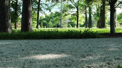Slow-motion-clip-of-person-running-on-dirt-path-through-park