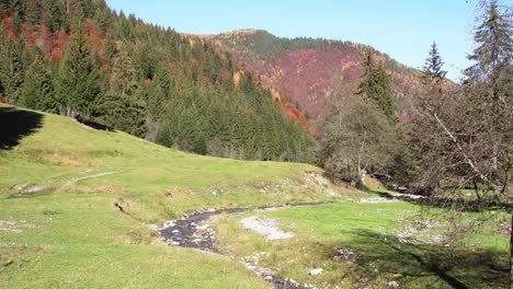 Dichter-Herbstwaldberg-Mit-Kleinem-Fließenden-Bach-An-Sonnigen-Tagen-In-Piatra-Craiului,-Kreis-Brasov,-Rumänien,-Statische-Aufnahme
