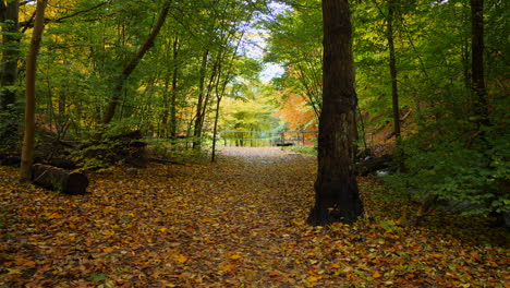 Pfad-Im-Herbstwaldpark