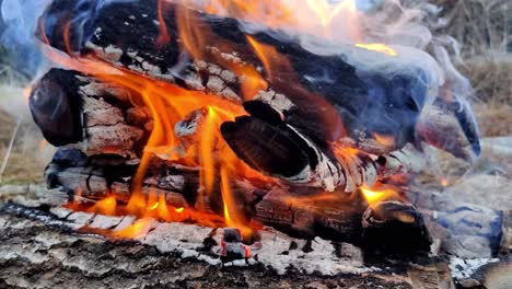Close-up-shot-Texture-of-burning-wooden-logs-outdoors---Red-Hot-Flame
