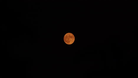 Wide-shot-of-a-Harvest-Moon