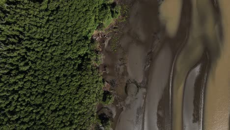Straight-down-motion-drone-shot-of-sandy-coast-of-Rio-de-la-Plata