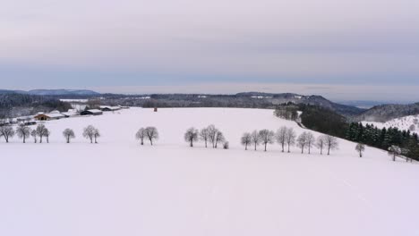Weite-Winterszene---Sanfter-Vorwärtsflug-über-Ein-Schneeweißes-Feld-Und-Eine-Baumreihe