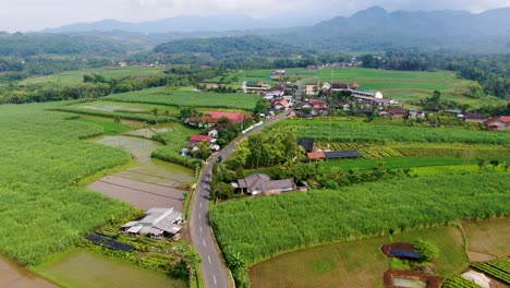 Remote-village,-sugarcane-fields,-green-gardens-and-rainforest-on-Java,-aerial