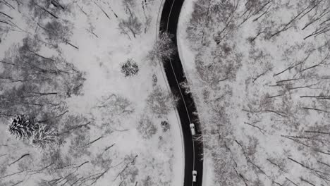 Winter-landscape-scenery-following-two-driving-cars-through-a-forest-as-a-drone-top-down-shot-at-a-snowy-day-in-the-white-winter-season
