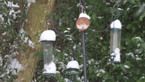 Nahaufnahme-Von-Drei-Vogelhäuschen-Im-Schnee