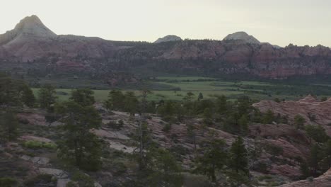 Tracking-drone-over-trees-and-pink-rocks-with-a-wide-grassy-valley-within-Zion-National-Park